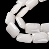 Natural White Jade Beads Strands G-T047-B31-01-4