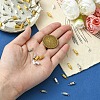 20Pcs Brass Screw Clasps KK-YW0002-40G-4