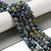 Dyed & Heated Natural Fire Crackle Agate Beads Strands X-G-P539-B01-02-2