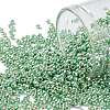 TOHO Round Seed Beads SEED-TR11-PF0570-1