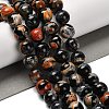 Dyed Natural Fire Crackle Agate Beads Strands G-G175-A05-01-2