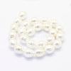 Shell Pearl Beads Strands BSHE-P024-12A-2