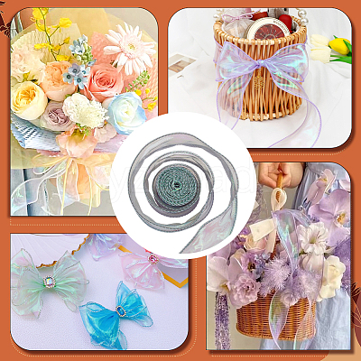 Polyester Iridescent Ribbon OCOR-WH20002-08A-1