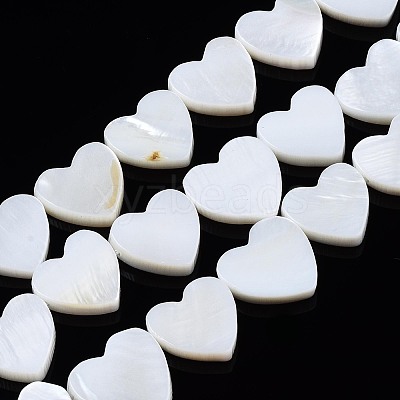 Natural Freshwater Shell Beads Strands X-SHEL-N027-21-1