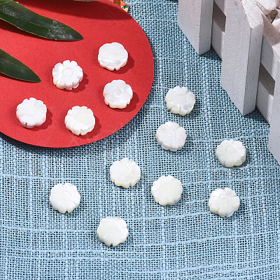 Natural Shell Beads Strands SSHEL-CJ0001-09-1