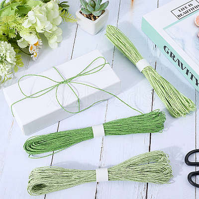 3 Bundles 3 Colors Twisted Paper Cord DIY-CP0012-06A-1