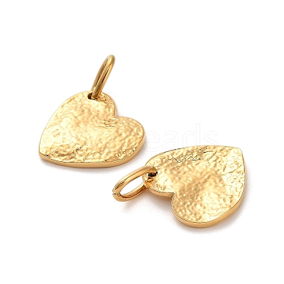304 Stainless Steel Charms STAS-R151-13G-1