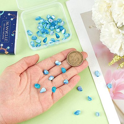 100Pcs Natural Trochid Shell/Trochus Shell Beads BSHE-SC0001-16A-1