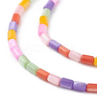Natural Freshwater Shell Dyed Beads Strands SHEL-M018-12-13-1