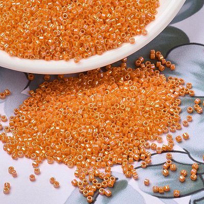MIYUKI Delica Beads SEED-JP0008-DB1573-1