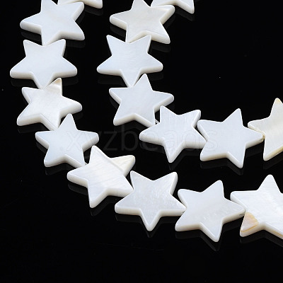 Natural Freshwater Shell Beads Strands SHEL-S278-01D-01-1