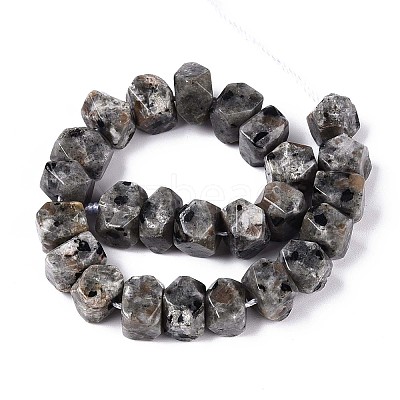 Natural Syenite Beads Strands G-N327-05-27-1