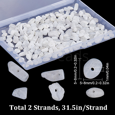 2 Strands Natural Rainbow Moonstone Chip Beads Strands G-SC0002-51-1