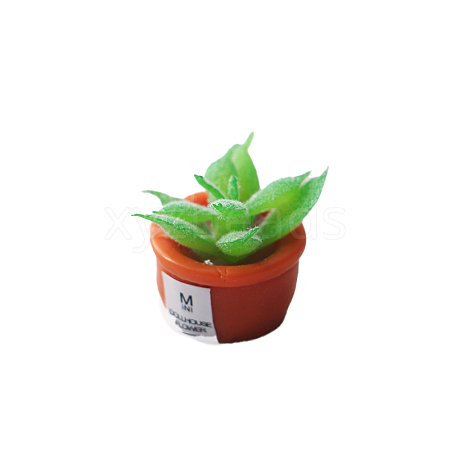 Resin Succulents Pot Model WG78029-04-1