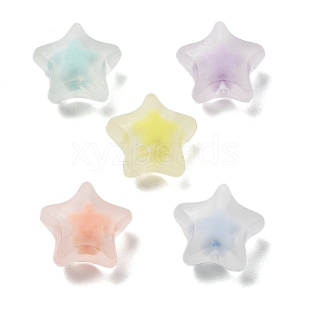 Frosted Transparent Acrylic Beads OACR-A032-13B-1