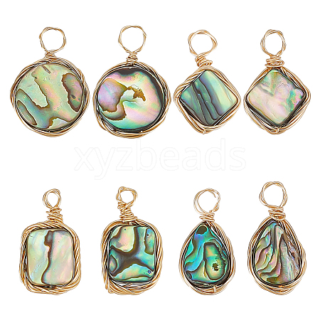 ARRICRAFT 8Pcs 4 Styles Natural Abalone Shell/Paua Shell Pendants FIND-AR0004-22-1