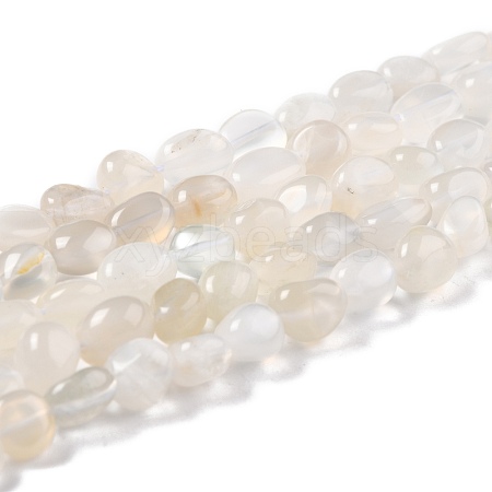 Natural White Moonstone Beads Strands G-G018-05-1