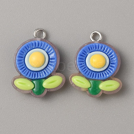 Translucent Resin Pendants RESI-TAC0019-08E-1