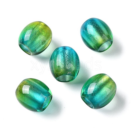 Painted Acrylic Beads OACR-Z010-03C-1