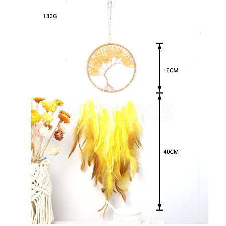 Woven Web/Net with Feather Hanging Ornaments PW23102031039-1