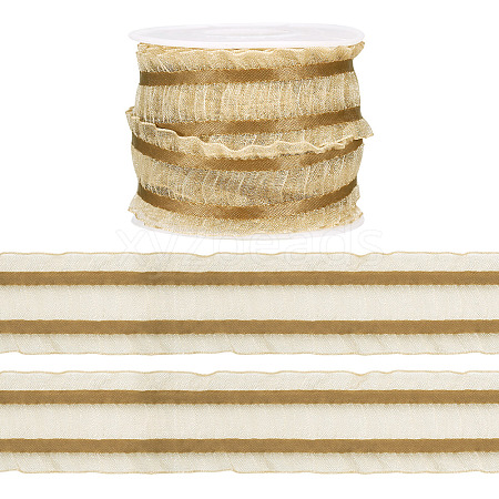 Polyester Lace Ribbon OCOR-TA0004-04E-1