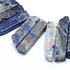 Natural Sodalite Beads Strands G-L551B-01-2