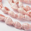 Natural Sea Shell Conch Bead Strands X-BSHE-O009-11-2