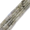 Natural Labradorite Beads Strands G-D464-08-1