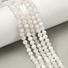 Natural Rainbow Moonstone Beads Strands G-B168-A11-3mm-1