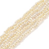 Electroplated Shell Pearl Beads Strands BSHE-C006-05A-1