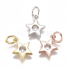 Brass Micro Pave Cubic Zirconia Charms ZIRC-F111-09-08-1