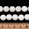 Natural White Shell Beads Strands G-T141-21-5