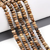 Natural Picture Jasper Beads Strands G-T141-34-1