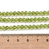 Natural Peridot Beads Strands G-Z150-A01-4mm-5