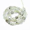 Natural Prehnite Beads Strands G-R465-50B-2