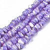 Natural Freshwater Shell Beads Strands SHEL-N003-23-B01-1