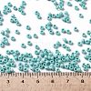 TOHO Round Seed Beads X-SEED-TR08-0413F-4