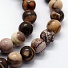 Natural Zebra Jasper Beads Strands G-I199-10-4mm-3