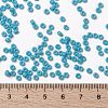 MIYUKI Round Rocailles Beads X-SEED-G008-RR0413-4