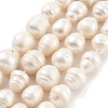 Natural Cultured Freshwater Pearl Beads Strands PEAR-P062-23-2