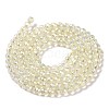 Electroplate Transparent Glass Beads Strands X1-GLAA-H021-01B-FR04-4