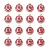 Golden Plated Alloy Enamel Charms ENAM-S118-08U-2