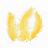 Turkey Feather Costume Accessories FIND-T013-04E-1