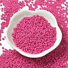 Baking Paint Glass Seed Beads SEED-P006-03A-32-2