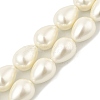 Teardrop Shell Pearl Beads Strands BSHE-XCP0001-12-1