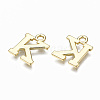 Alloy Charms PALLOY-Q441-025K-NR-3