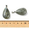 Natural Labradorite Pendants GG-K002-09Q-3
