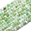 Natural Chrysoprase Beads Strands G-P438-C01-2mm-2