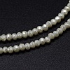 Faceted Rondelle Full Rainbow Plated Electroplate Glass Beads Strands X-EGLA-M004-2mm-A17-2