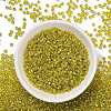 TOHO 8/0 Round Beads SEED-XTR08-1811-3